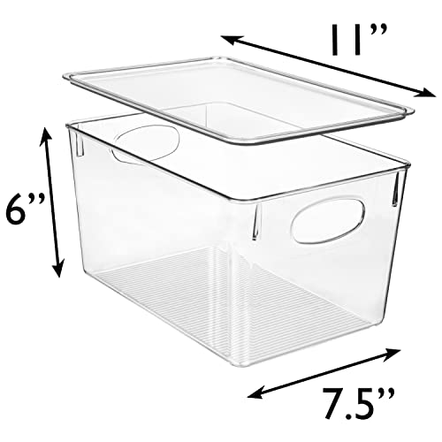 Plastic Storage Containers with Lids for Organizing - (Small 11 X 6 X 2)