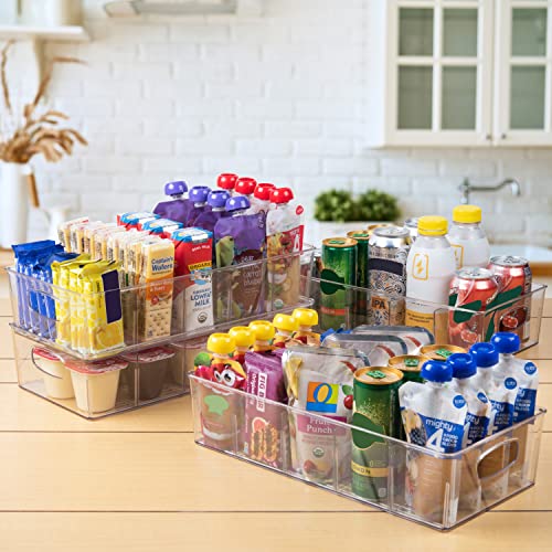 15 x 7.3 x 3.5 Clear Plastic Storage Bins with Dividers